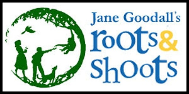 ROOTS & SHOOTS