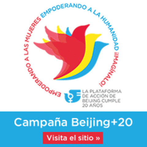 Plataforma Beijing de 1995