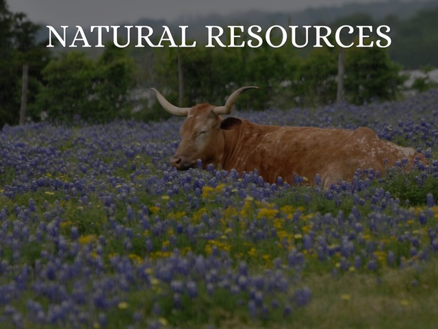 Texas Natural Resources