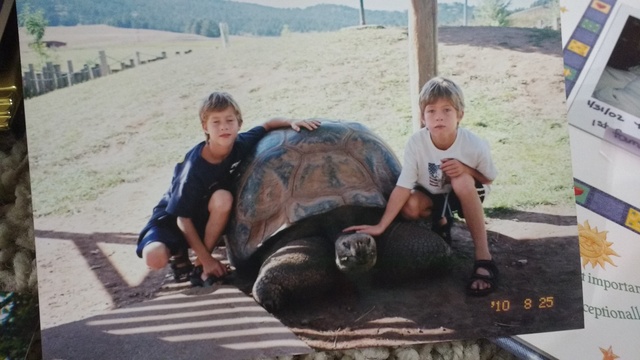 Conocí a una tortuga!