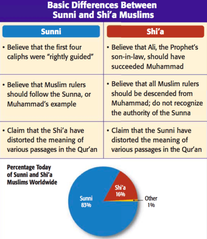 Sunni Shia Divide