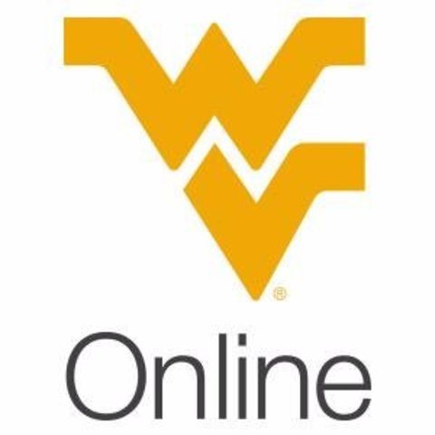 First experience with online learning course