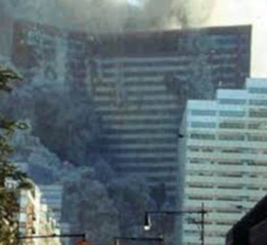 The 7 WTC Collapses