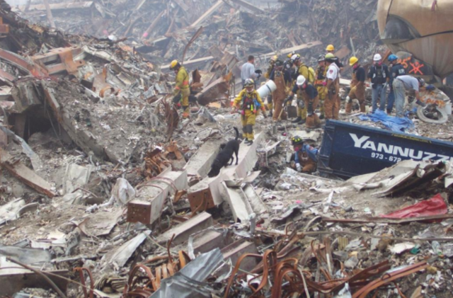 The Body Count Rises