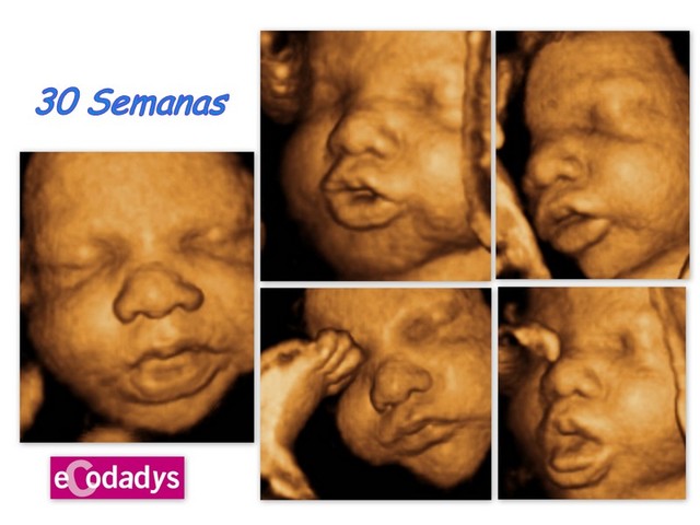 Y EL BEBÉ SIGUE ADELANTE