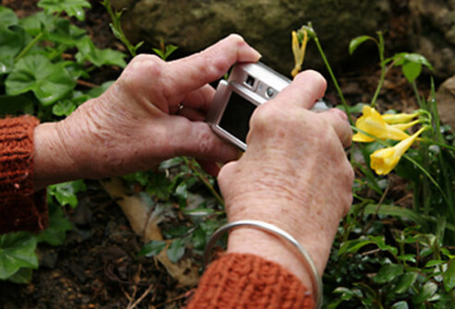 10. Előadás Reumatoid artritis, csontvelőgyulladás, TBC