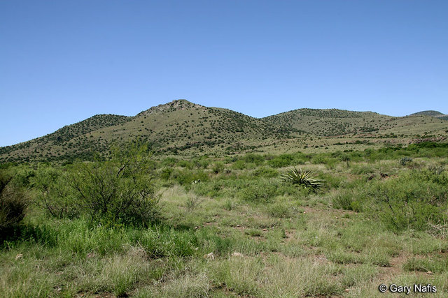 north central plains