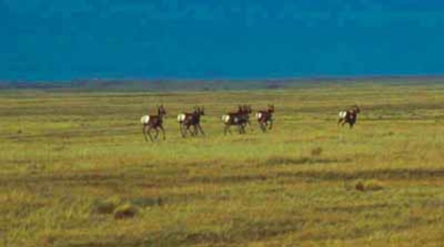 The Northern Central Plains