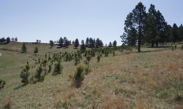 North Central Plains