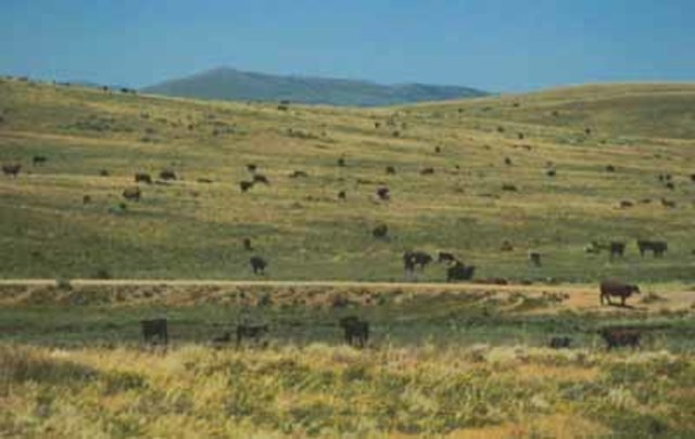 North Central Plains