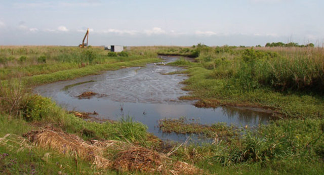 texas geography the gulf coast plains