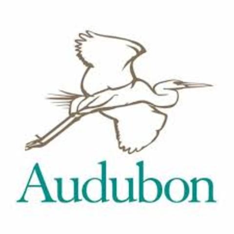 Audubon Society Founded