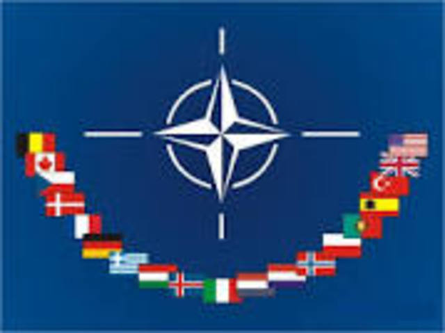 Organization (NATO)