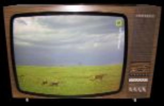 TELEVISIÓN EN COLOR