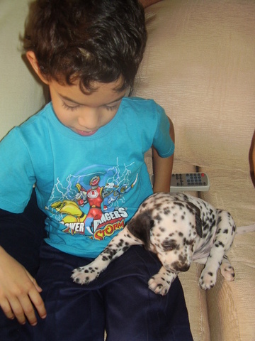 Nuevo integrante de la familia