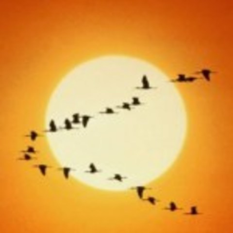 OTROS AUTORES SISTEMICOS