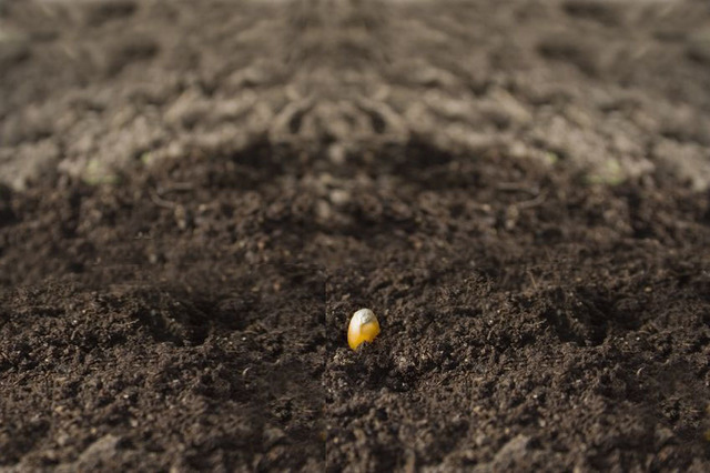 Деревцо timeline | Timetoast timelines