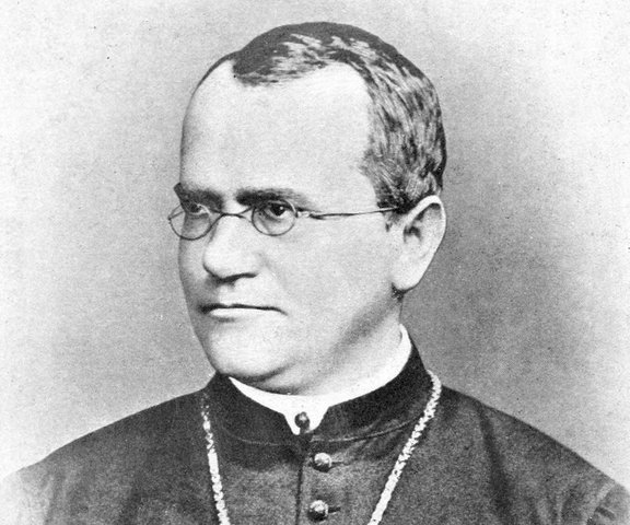 GREGOR MENDEL
