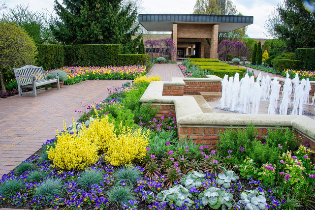 芝加哥植物园（Chicago Botanic Garden）
