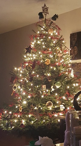 Fui a mi primera Navidad el 25 de diciembre.