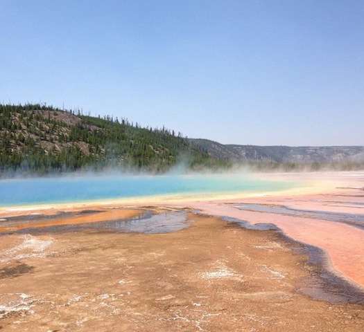Mi familia y yo fuimos a yellowstone