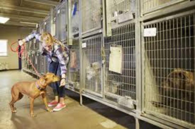 Tengo Mi Primer Trabajo