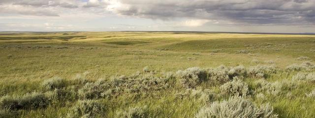 The great plains