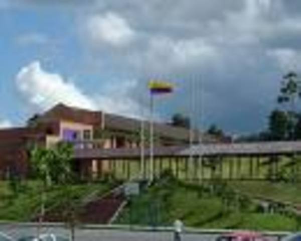 Estudie mi primaria en Colombia