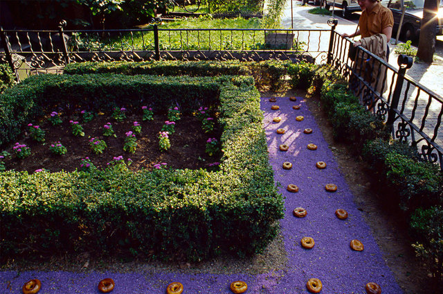 面包圈花园Bagel Garden