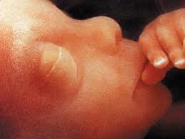 Uñas de manos formadas y la de pies en proceso.