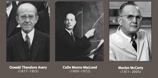 Oswald Theodore Avery, Colin McLeod y Maclyn McCarty