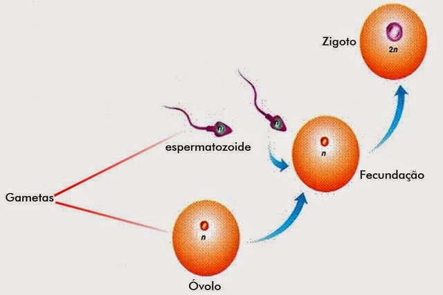 Manuscrito en las Actas de la sociedad .