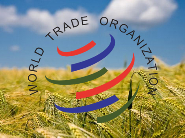 Вступ до СОТ: пріоритетне завдання виконано