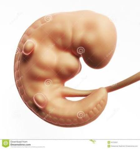 Final del primer mes