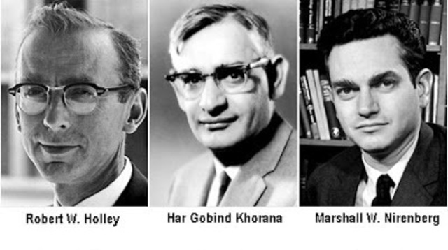 Robert Holley, Har Khorana y Marshall Nirenberg