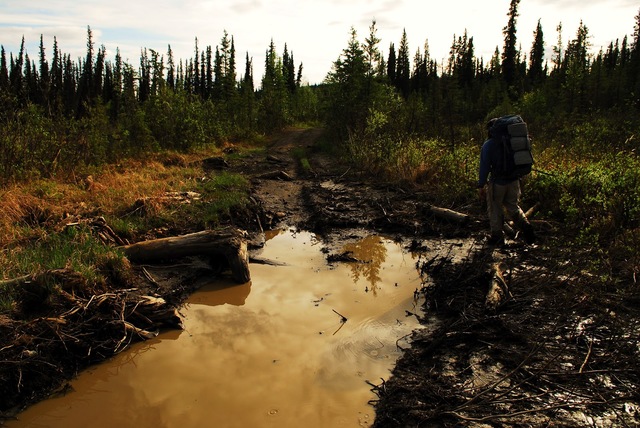 Awaiting Alaskan Odyssey