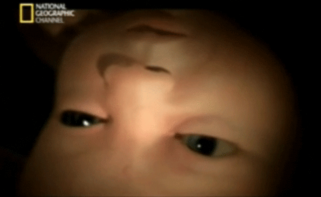 26 Semanas de Gestación