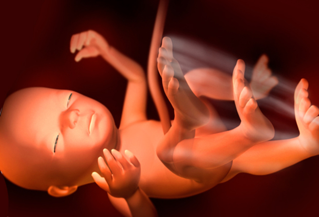 28 Semanas de Gestación