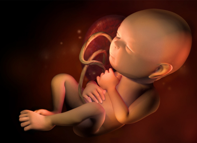 32 Semanas de Gestación