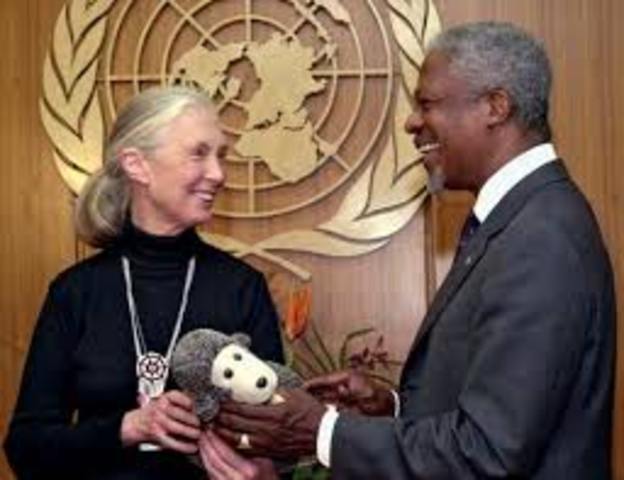 Jane Goodall Named "Messenger of Peace" by UN