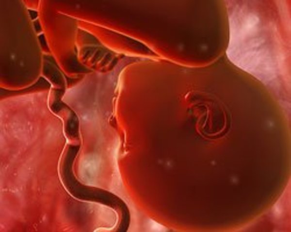 38 Semanas de Gestación