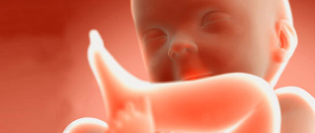 40 Semanas de embarazo