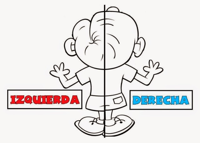 Día 15 > Establecimiento de la lateralidad