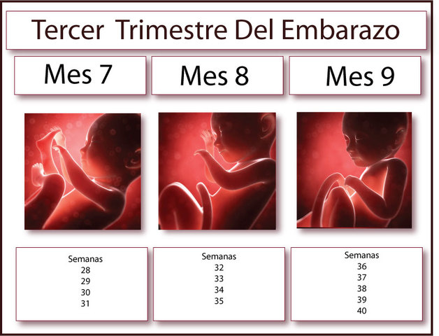 Fin del 3er trimestre