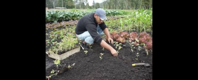 FUNDACIÓN DE ASESORIAS SECTOR RURAL - FUNDASES