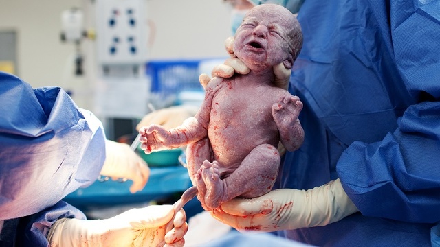 Fecha previsible del parto