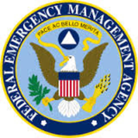 The Federal Emergency Management Agency (FEMA)