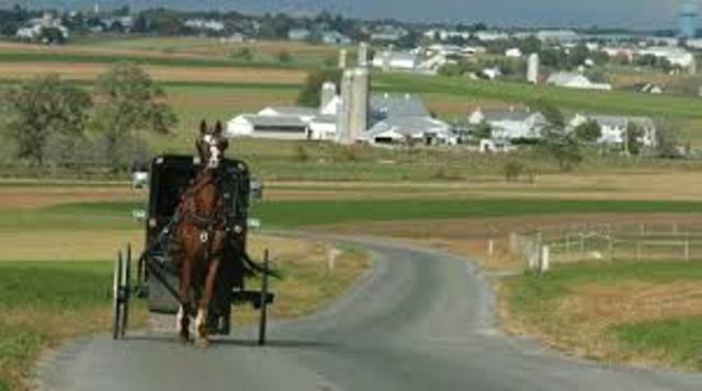 Birth: Wide-eyed wonder