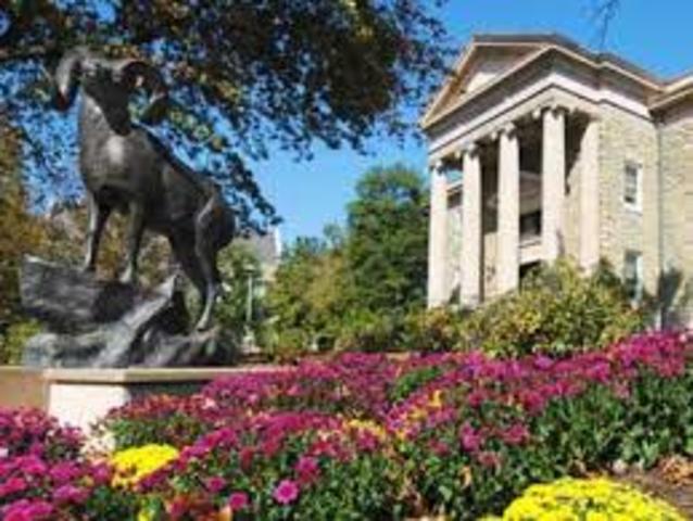 Undergraduate Education: Which way do I go?