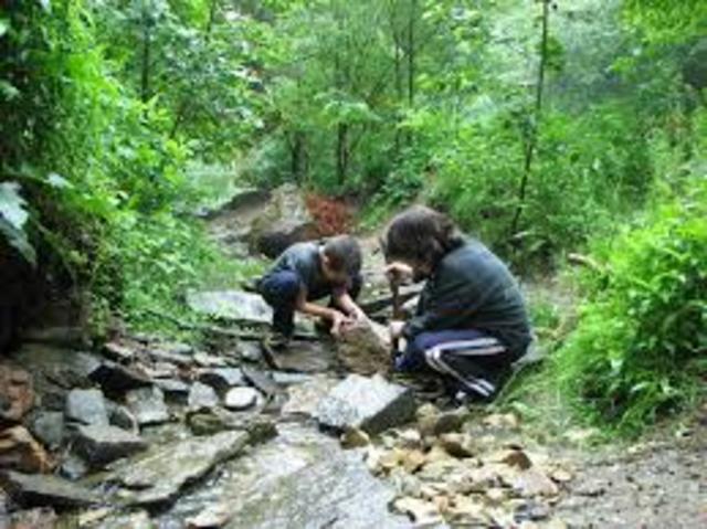 Learning and Teaching in Alternative Schools